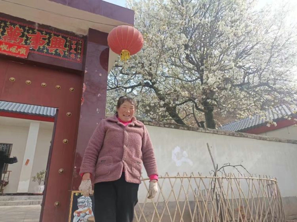 逐村观摩找差距 鼓足干劲谋发展  灵宝市寺河乡开展2023年第一季度“逐村观摩 整乡推进”活动