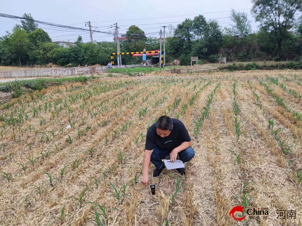 ​倾心竭力 压茬推进——西平县柏苑街道办事处多措并举开展抢时趁墒播种工作